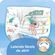 Fraldas-Para-Agua-Pampers-Splashers-Baby-Shark-G-XG-10-Unidades-Pacheco-691844-4