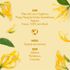 sabonete-liquido-love-beauty-and-planet-oleo-de-coco--ylang-ylang-300ml-Pacheco-682039-4