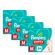 935137943---Kit-Fralda-Pampers-Pants-Ajuste-Total-M-336-unidades