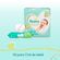 Kit-Pampers-Fralda-Premium-Care-G-30-Unidades--Lencos-Umedecidos-Aloe-Vera-48-Unidades-Pacheco-727997-7