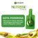 Tintura-Garnier-Nutrisse-80-Baunilha-Loiro-Claro-Pacheco-28592-7