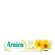 279269---arnica-creme-60g