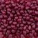 671274---bala-de-gelatina-fini-acai-mais-vitamina-b-sem-acucar-18gr-2