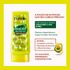 743488---Kit-Shampoo-Dabelle-Abacate-Nutritivo-250ml-Condicionador-200ml-2
