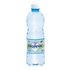Água Mineral Bioleve Sem Gás 510ml