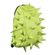 Mochila Spiketus Rex Grande Verde claro MadPax