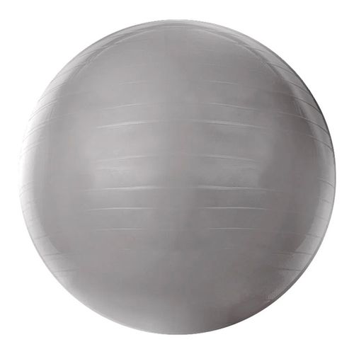 Bola De Ginastica 55 Cm Cinza T55 Acte Bola De Ginastica 55 Cm Cinza T55 Acte