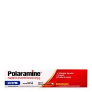 Antialérgico Polaramine Creme 10mg/g Bisnaga 30g