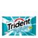 Trident Fresh Mint 8,5g