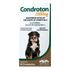 CONDROTON 1000mg - frasco com 60 comprimidos