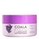 770582---Mascara-de-Hidratacao-Coala-Beauty-Max-Blond-250g-1 770582---Mascara-de-Hidratacao-Coala-Beauty-Max-Blond-250g-1