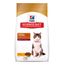 Ração Hill's Gato Adulto Hairball Control