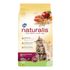 Ração Naturalis Gato Adulto Salmão & Frutas 10Kg