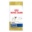 Ração Royal Canin Bulldog Francês Adult