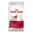 Ração Royal Canin Fit 32