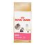 Ração Royal Canin Kitten Persian 32