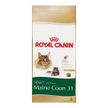 Ração Royal Canin Maine Coon 31