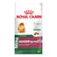 Ração Royal Canin Mini Indoor Ageing 12+