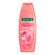 Shampoo Palmolive Naturals Longo Sedutor 350ml