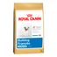 Ração Royal Canin Bulldog Francês Junior