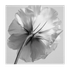image-2614f09caa854f019b3e0ddfe4e06023
