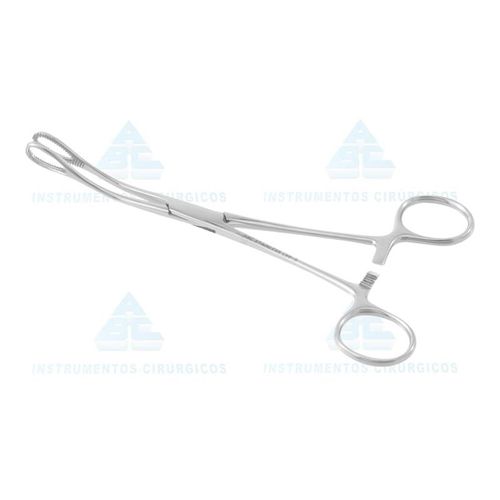 image-66d996ca18f6466ba4f05652da305c30 image-66d996ca18f6466ba4f05652da305c30