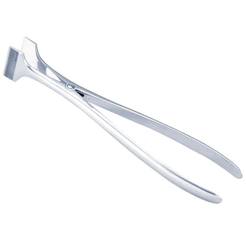 image-33fa1daa14c44747a776b31e69f6d706 image-33fa1daa14c44747a776b31e69f6d706