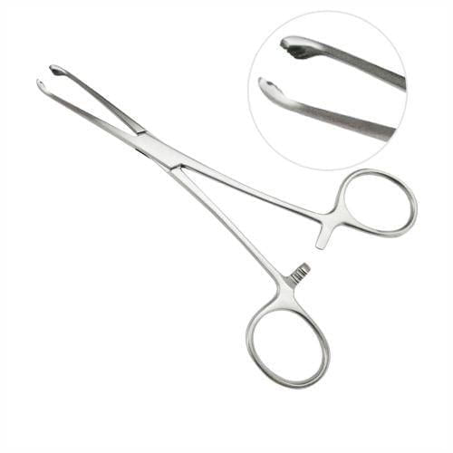 image-56dd1d5e37ca4ddf90ffdc4813ec0ef1 image-56dd1d5e37ca4ddf90ffdc4813ec0ef1