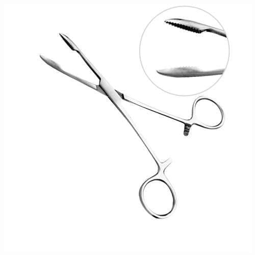 image-a52f614919fe4d188e9534fdba04fba7 image-a52f614919fe4d188e9534fdba04fba7