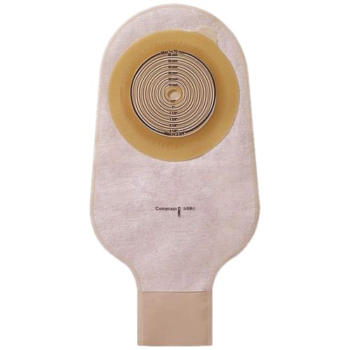 image-6c124e72244749fb9c64f0440baf9126 image-6c124e72244749fb9c64f0440baf9126