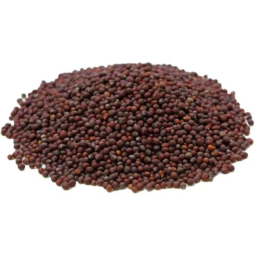 image-c5c69fe4488b4a9c8c5ef2dfc88b6d26 image-c5c69fe4488b4a9c8c5ef2dfc88b6d26