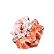 image-8dbff4e1c02c4f8397e35fc01ec3a4bf
