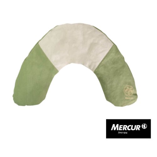 image-a795019896c04918adc598ff468c7713