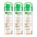 Desodorante Bí-O Clarify Aerosol Feminino 150ml 3 Unidades Desodorante Bí-O Clarify Aerosol Feminino 150ml 3 Unidades