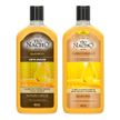 Kit-Tio-Nacho-Shampoo--Condicionador-Anti-Idade-Nutricao-e-Brilho-Rejuvenecimento-Capilar-415ml