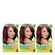 Tintura Garnier Nutrisse 67 Chocolate 3 Unidades Tintura Garnier Nutrisse 67 Chocolate 3 Unidades
