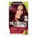 Tintura Garnier Nutrisse Coloríssimos - Castanho 4466