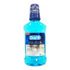 149063---enxaguante-bucal-oral-b-bucal-complete-menta-250ml