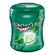 Chiclete Trident Garrafa Crystal Mint 56g