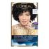 Tintura Permanente Imédia Excellence De L’oréal Paris Ice Preto Perolado 2.111