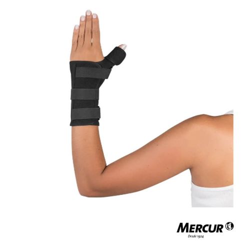 image-310f866ab68b4cb690ff1ea54738e557 image-310f866ab68b4cb690ff1ea54738e557