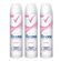 Kit Desodorante Rexona Powder 3 Unidades