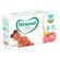 791415---Fralda-Personal-Baby-Premium--Protection-Tamanho-XG-50-Unidades-3 791415---Fralda-Personal-Baby-Premium--Protection-Tamanho-XG-50-Unidades-3