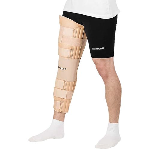 image-e304b1b514c14ad1915f8134d6cbe012 image-e304b1b514c14ad1915f8134d6cbe012