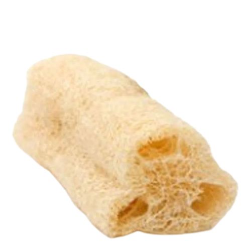 Bucha Natural Orgânica Bucha Natural Orgânica